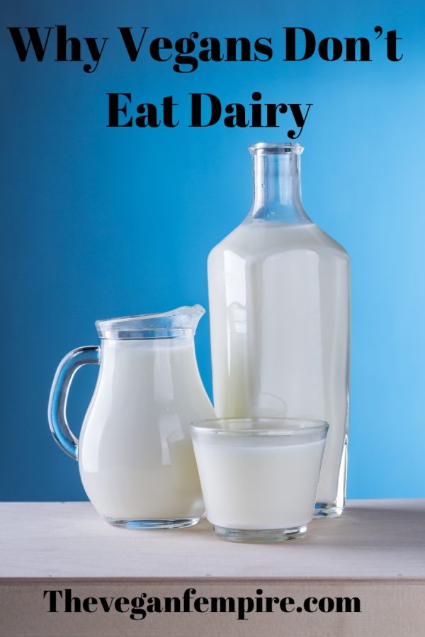 Why Vegans Don’t Eat Dairy: The Biggest Heartbreak – The Vegan FEMPIRE